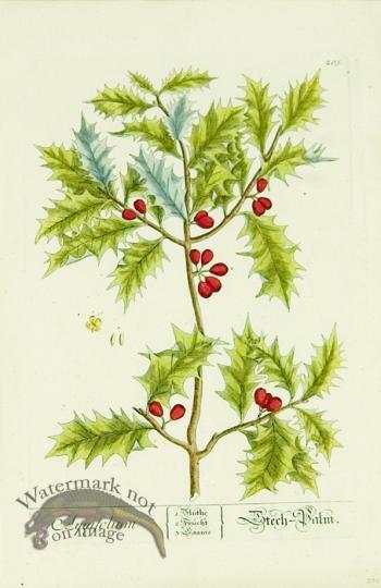 Blackwell German 111